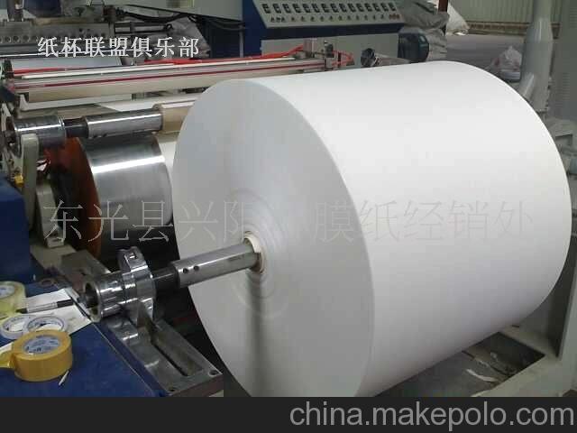l供應(yīng)多種型號(hào)的 質(zhì)量保證 淋膜紙