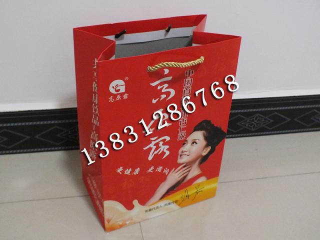 河北手提紙袋，環(huán)保手提紙袋，牛皮紙手提袋