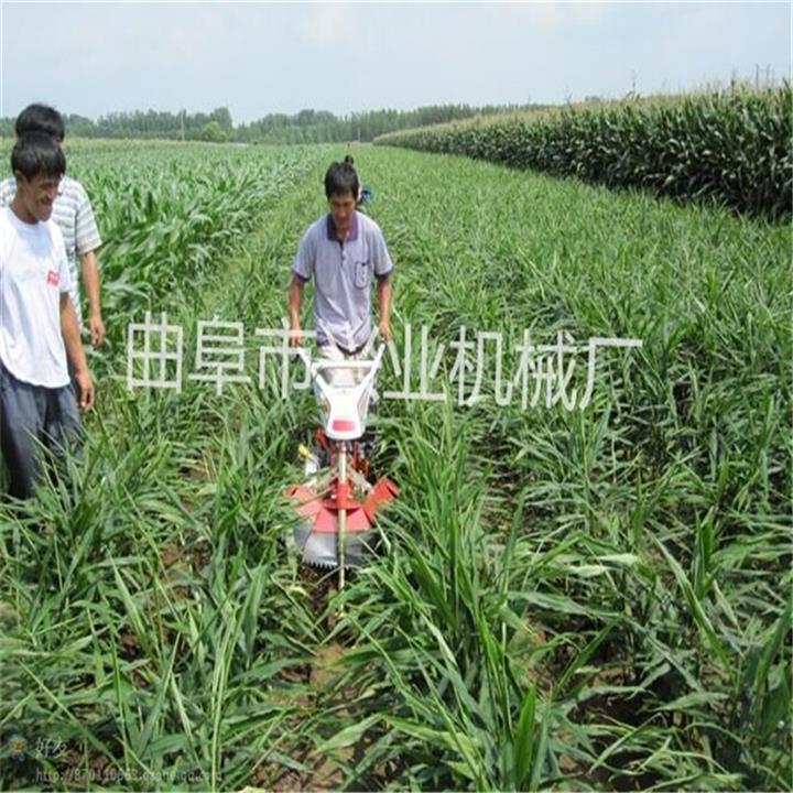 新款果園微耕機(jī)  柑橘挖溝開槽機(jī)  生姜種植開溝機(jī)