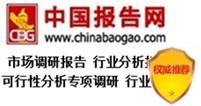 中國(guó)數(shù)碼印刷市場(chǎng)現(xiàn)狀研究與發(fā)展前景分析報(bào)告