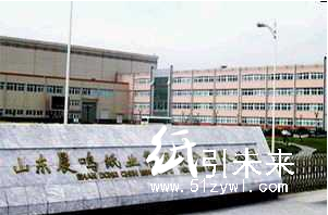 時(shí)代出版原副總吳壽兵受賄810萬(wàn) 博匯紙業(yè)晨鳴紙業(yè)涉案其中