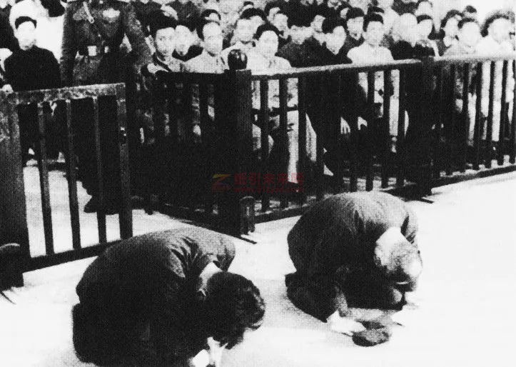 1956年，日本戰(zhàn)犯在沈陽特別軍事法庭上跪地謝罪